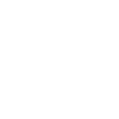 logo raízen