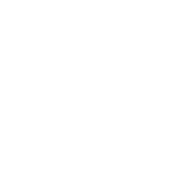 logo siemens