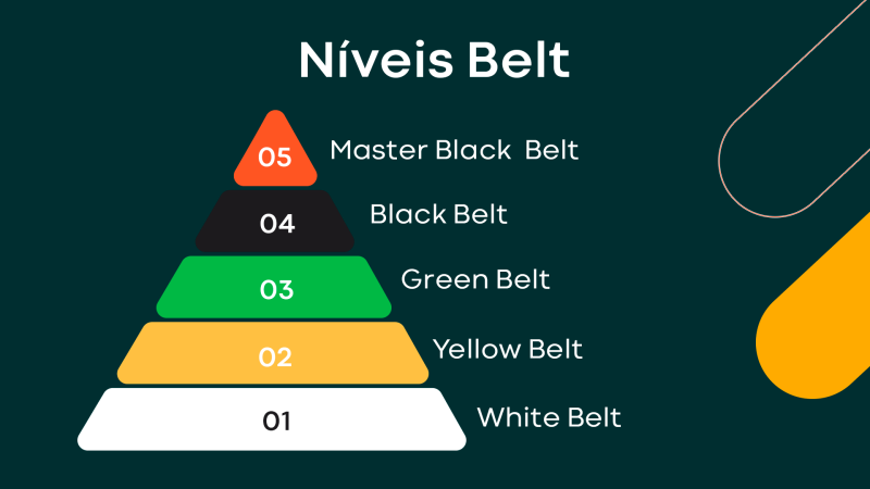 Infográfico que demonstra as diferenças entre os diferentes níveis da metodologia Lean six sigma. Iniciando no white belt e terminando no master black belt