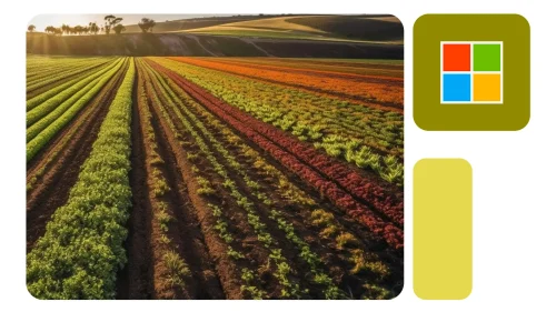 imagem de um campo sobre agronegócio